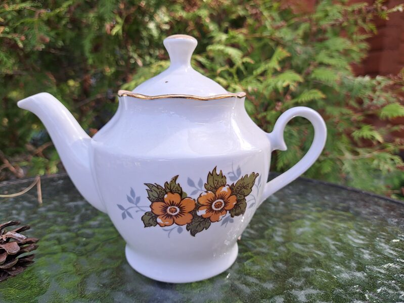 Mazā tējkanna, tējas servīze "Ārija" ar brūnām puķēm, RPR (Ārija tējas 76)