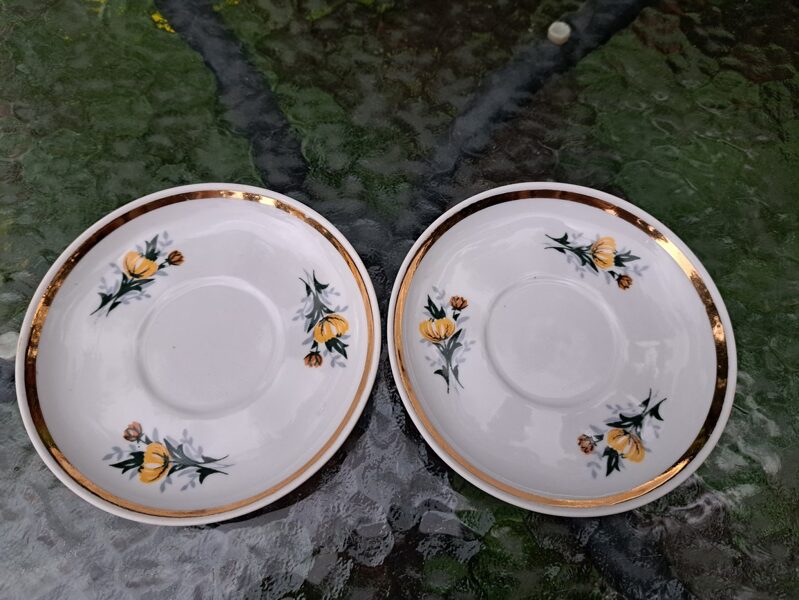 Apakštases kafijas, kafijas servīze "Ārija" ar dzeltenām asterēm un zeltu, RPR (Ārija kafijas 85)