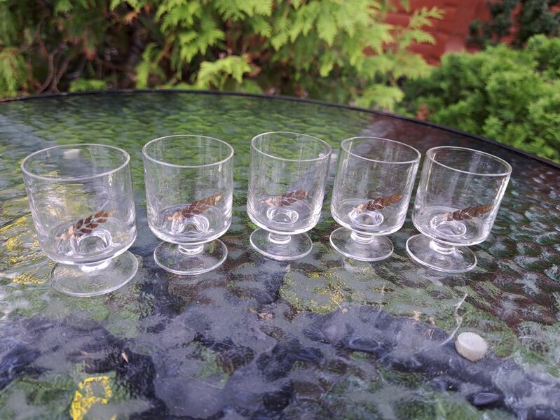 Degvīna mazo glāzīšu ar zetu vārpu kompekts (kompl.10 personām) (Stikla gl 24)