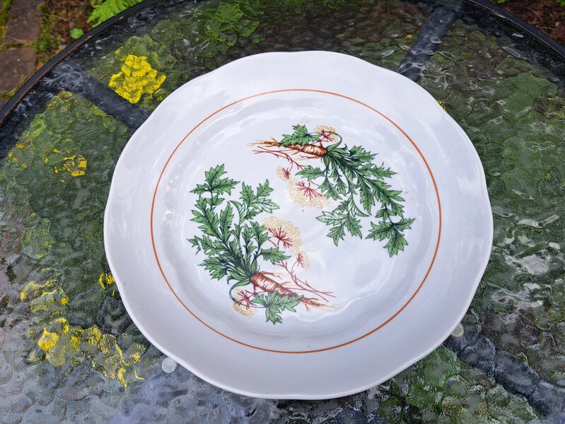 Vidējais servējamais šķīvis ar petersīļiem un brūnu svītru (bez zelta), diam.27cm, RPR (Ārija pusdienu 268)