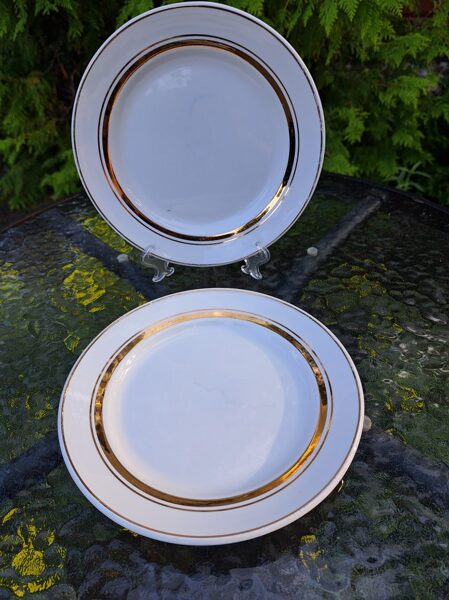 Salātu šķīvji fajansa, pusporcija, D=20cm, ZIK balti ar zeltu, taisna mala (ZIK 16)