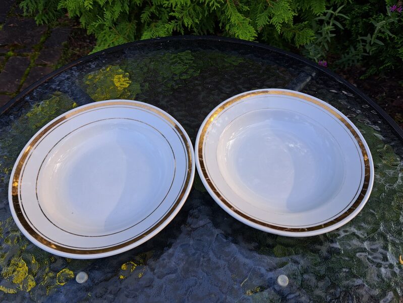 Zupas šķīvj fajansa, pusporcija, D=20cm, ZIK balti ar zeltu, taisna mala (ZIK 17)