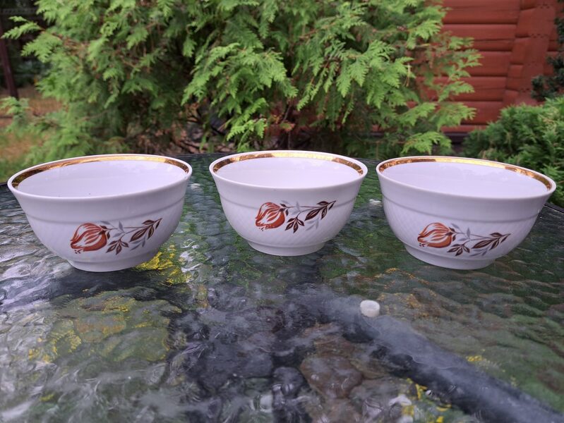 Bļodiņas ar brūnām tulpēm un zeltu, RPR (Citi pusd 162)