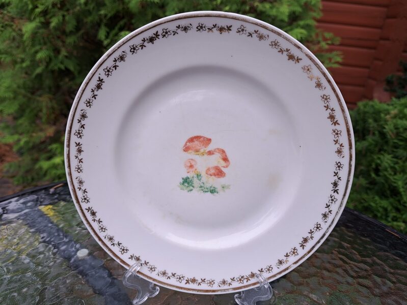 Vintāžs bērnu otrā ēdiena šķivis "Sēnes", RPR (Bērnu 96)