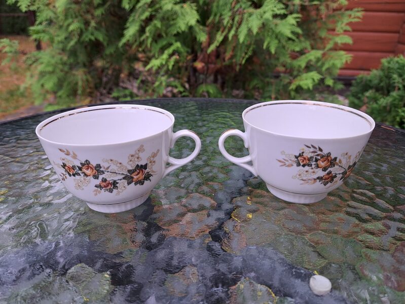 Krūzītes, plānsienu servīze "Diāna" tase ar mazām rozā puķītēm, slīpējums (Diāna 67)