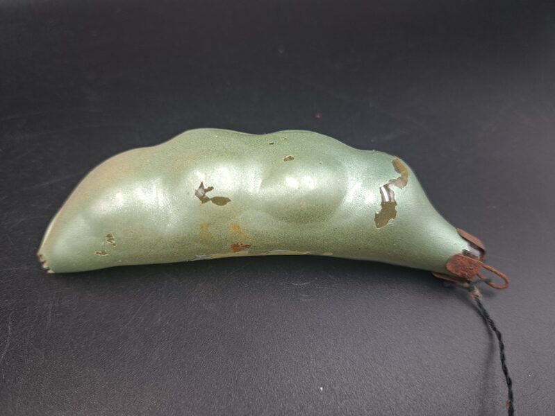 Pupiņu paksts, zaļš perlamutrs, defekts (Egle dārzeņi 15)