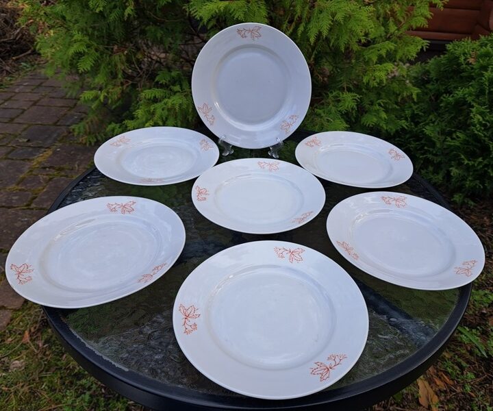 Salātu šķīvji ar oranžām puķēm (konturs), RPR. Diam.20cm (Citi pusd 206)