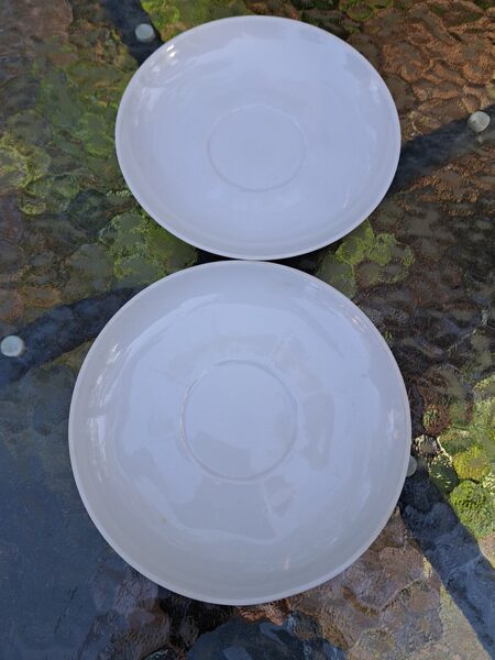 Apakštases pilnīgi baltas, tējas servīze "Ārija" bez dekola un bez zelta, RPR (Ārija tējas 137)