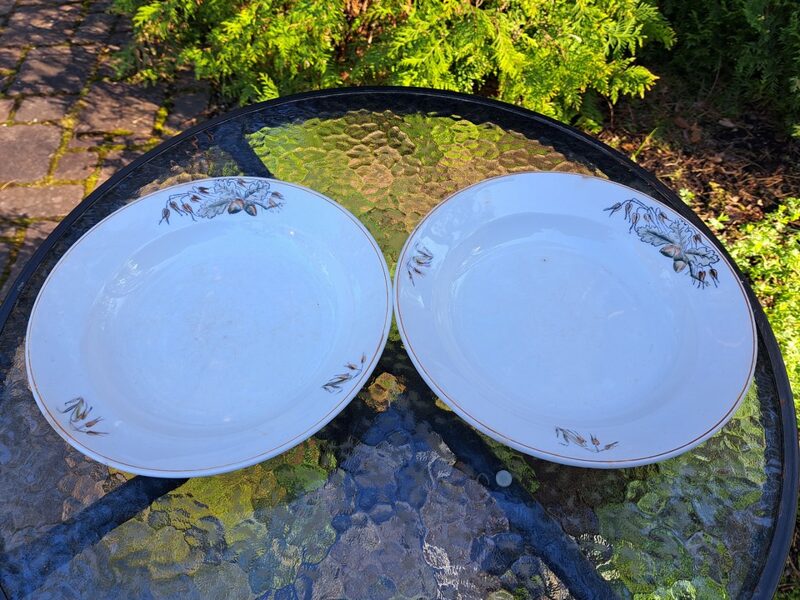 Zupas šķīvji ar ozolzīlēm, fajanss, PFF. Izmēri: Diam.25cm (Fajansa pusdienu 25)