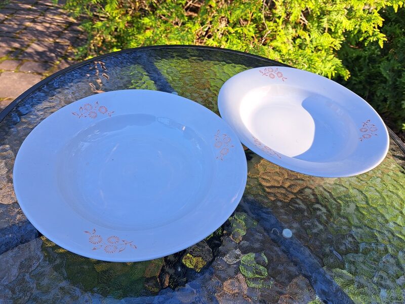 Zupas šķīvji ar 3 oranžām puķēm, bez zelta vai apvilkuma, RPR (Citi pusd 221)