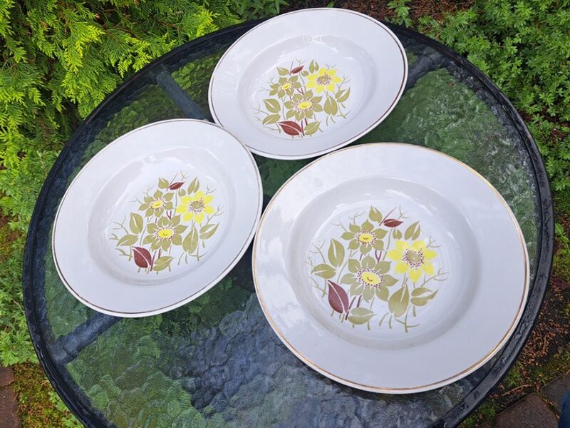 Šķīvji zupas balti ar bordo un haki puķēm un zeltu, diam.24cm, RPR (Citi pusd 233)