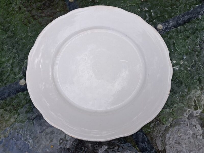 Otrā ēdiena fajansa Kuzņecova šķīvis. D=23cm (Kuzņecovs 112)