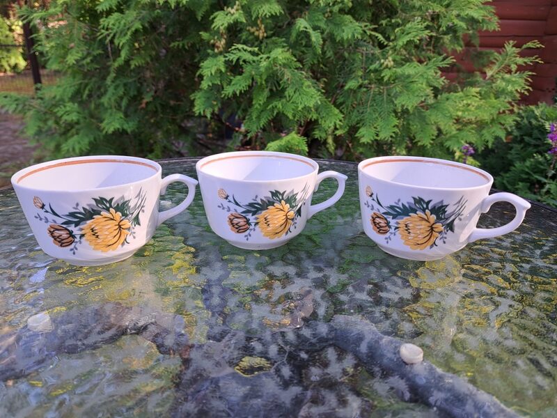 Krūzītes, servīze "Karīna" ar dzeltenām asterēm (liels pušķis) un gaiši brūnu apvilkumu, RPR (Karīna 150)