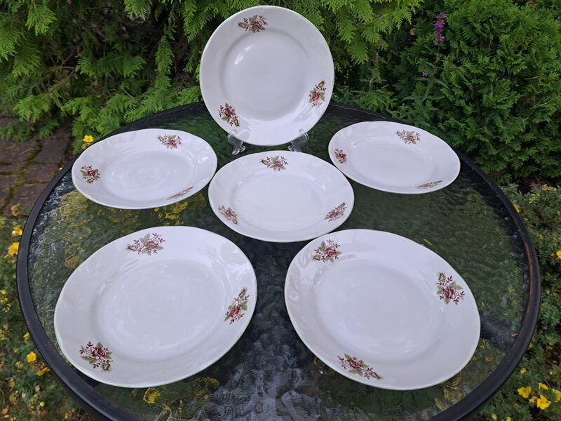 Jauno kūku šķīvju komplekts 6 personām, tējas servīze "Viktorija" ar bodo rozīti ar zaļām lapām, RPR (Viktorija t 146)