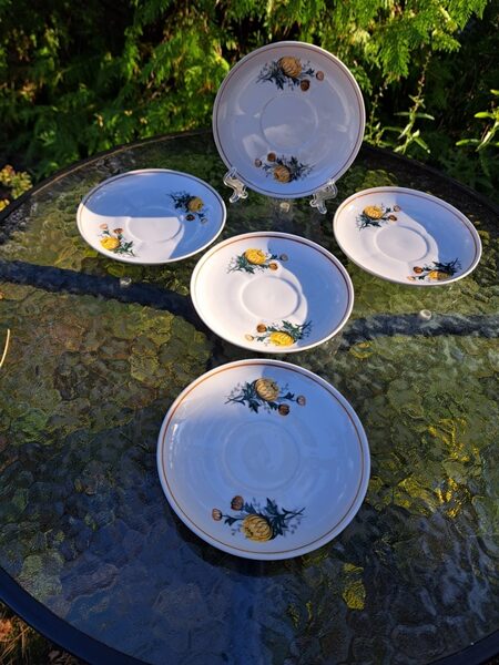 Apakštases, tējas servīze "Karīna" ar dzeltenām asterēm un zeltu, RPR (Karīna 167)