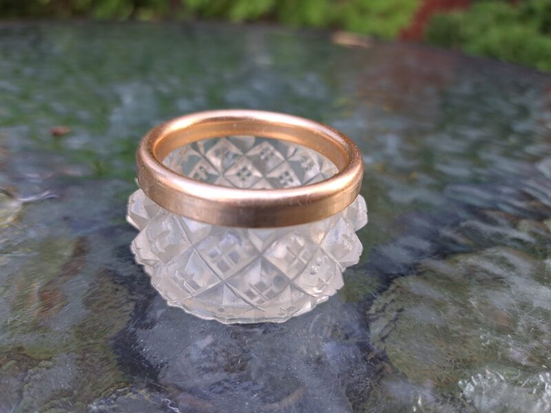 Sāls trauciņš, plastmasa un metāliska mala. 20.gadsimta 60.-tie gadi. Diam.4,7cm, h=2,7cm (Metāls 60)