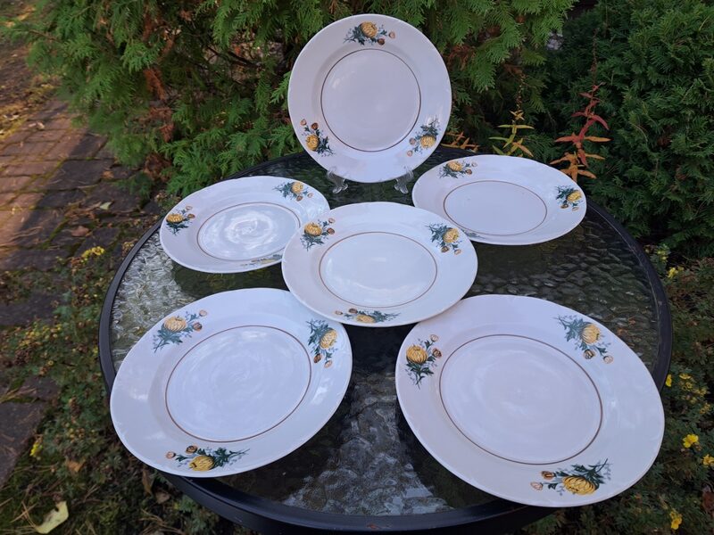 Šķīvji salātu, d=20cm ar dzeltenām asterēm (3 pušķi), brūnu riņķi-apvilkumu centrā un reljefa malu, RPR (Citi pusd 253)