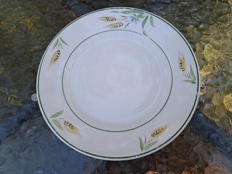 Šķīvis ar skaistu rokas gleznojumu - vārpām, rudzupuķēm un zaļu apvilkumu, PFF. Diam.19,5cm, "zirneklis" (Citi 333)