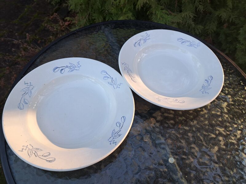 Zupas šķīvis ar zilām tulpēm (5gb.),fajanss, PFF. Izmēri: Diam.24,5cm (Fajansa pusdienu 33)