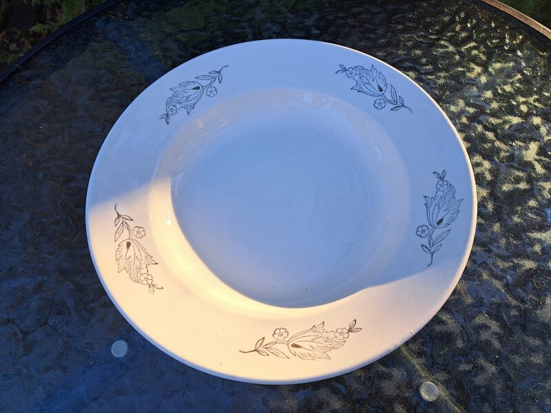 Zupas šķīvis ar zilu zaru ar lapām un puķēm (5gb.),fajanss, PFF. Izmēri: Diam.24,5cm (Fajansa pusdienu 32)