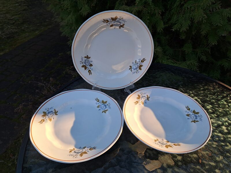 Salātu šķīvji ar "ledus rozi" un bēšu apvilkumu, diam.20cm, RPR. Forma "Ārija", RPR (Ārija pusdienu 287)