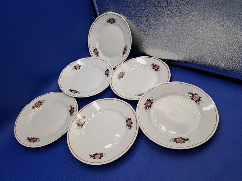 Salātu šķīvji ar mini bordo asterēm un brūnu apvilkumu, pusdienu servīze "Ārija", RPR. D=20cm (Ārija pusdienu 389)