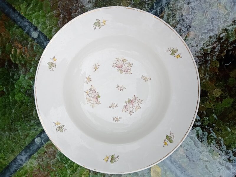 Zupas šķīvis no pusdienu servīzes "Spīdola" (Spīdola 03)