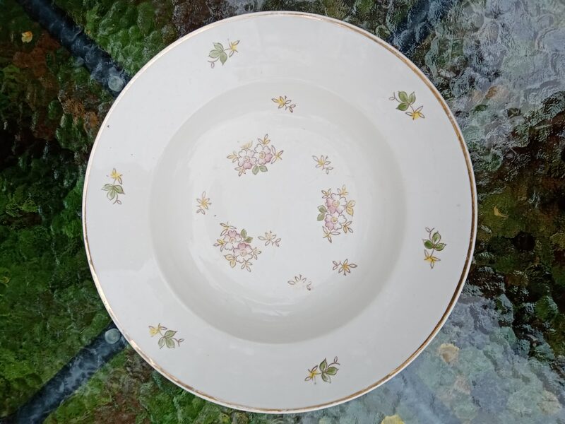 Zupas šķīvis no pusdienu servīzes "Spīdola", PFF (Spīdola 04)