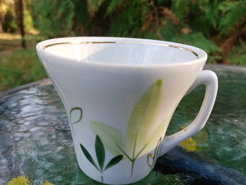 Krūzīte ar zaļu dekolu no "Stella", PFF