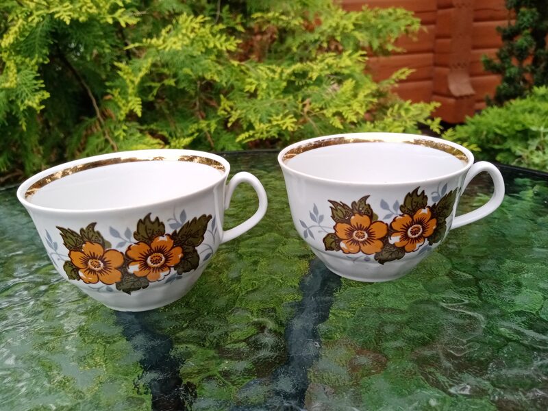 Krūzītes, tējas servīze "Māra" ar brūnām puķēm (Māra tējas 56)