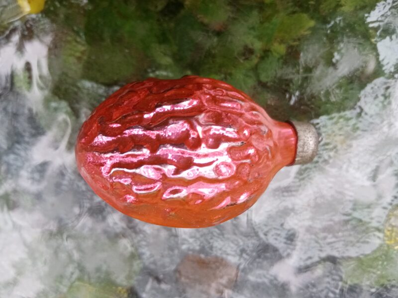 Rozā valrieksts (Egle augļi 06)